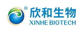 反应釜固体投料装置